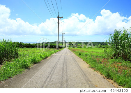 Kohamajima Sugar Road Kohamajima Sugar Road 46448100