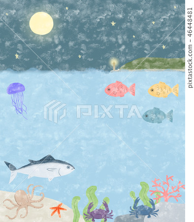 海生物和夜空 海生物和夜空 46448481