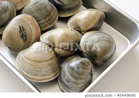 Honbinos shellfish Honbinos shellfish 46449690
