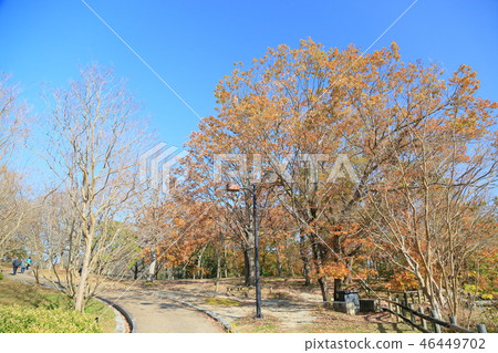 晚秋公園 晚秋公園 46449702