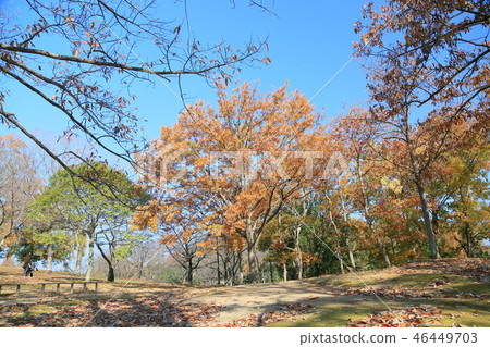 晚秋公園 晚秋公園 46449703