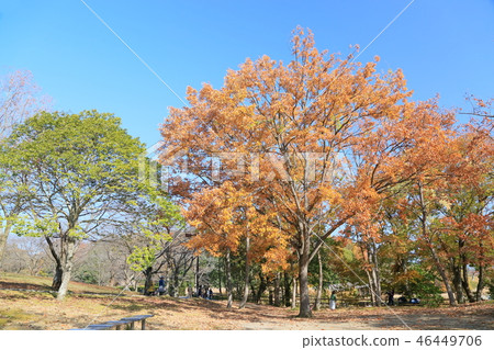 晚秋公園 晚秋公園 46449706