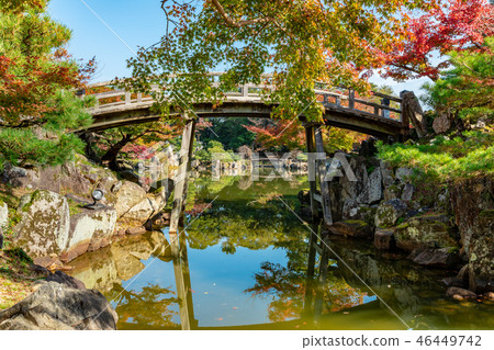 Takahashi Aki Genguen Rakuen 46449742