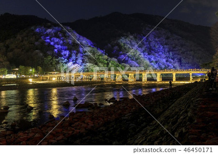 Arashiyama Flower Road Arashiyama Flower Road 46450171