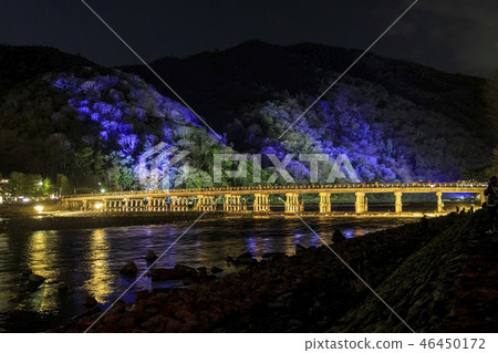 Arashiyama Flower Road Arashiyama Flower Road 46450172
