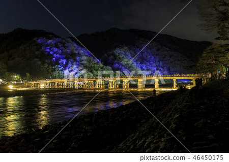 Arashiyama Flower Road Arashiyama Flower Road 46450175