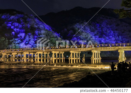 Arashiyama Flower Road Arashiyama Flower Road 46450177