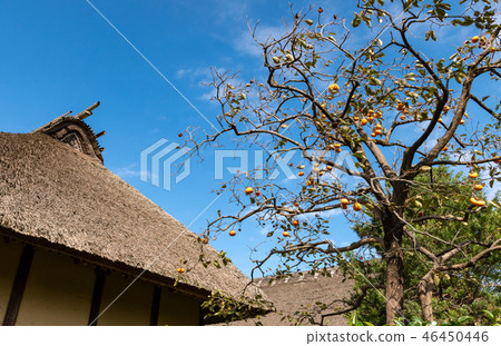 Old private house and blue sky Old private house and blue sky 46450446