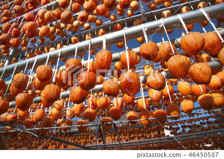 柿子柿子 46450587