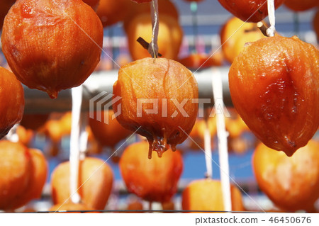 Koro Persimmon Anpo Persimmon 46450676