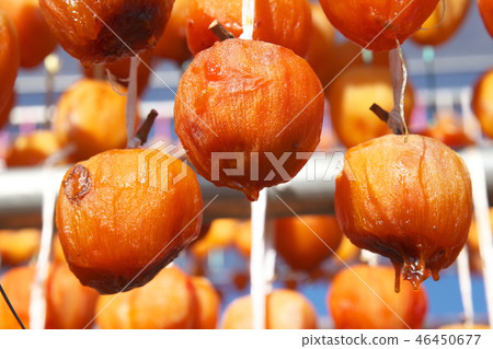 Koro Persimmon Anpo Persimmon 46450677