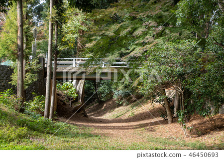 Dorobo Bridge和Sakai Kitanoin Prefecture埼玉縣川越市 46450693