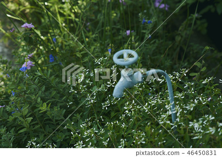 Nature green plant Nature green plant 46450831