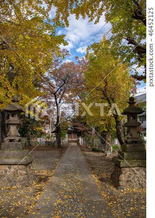Ukishima Inari Shrine Kawagoe City, Saitama Prefecture 46452125