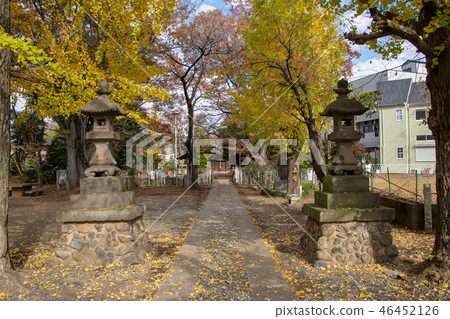 Ukishima Inari Shrine Kawagoe City, Saitama Prefecture 46452126
