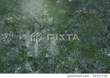 Wall Ishigaki Okinawa Wall Ishigaki Okinawa 46452736