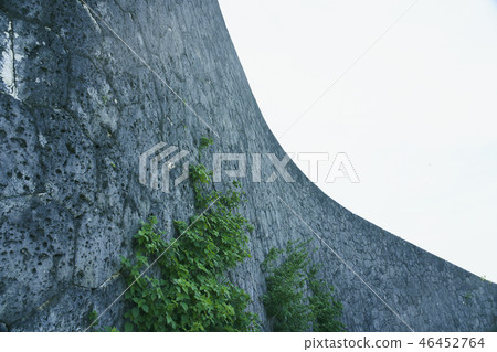 Wall Ishigaki Okinawa 46452764