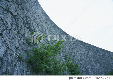 Wall Ishigaki Okinawa 46452765