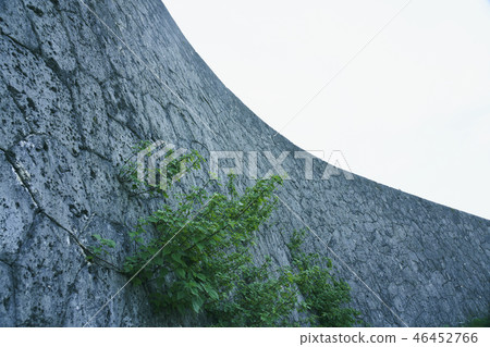 Wall Ishigaki Okinawa 46452766