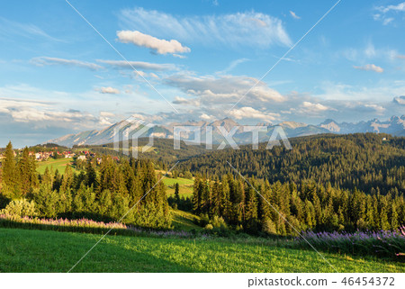 Summer mountain country view 46454372