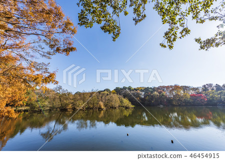Ishigami公園在秋天 Ishigami公園在秋天 46454915