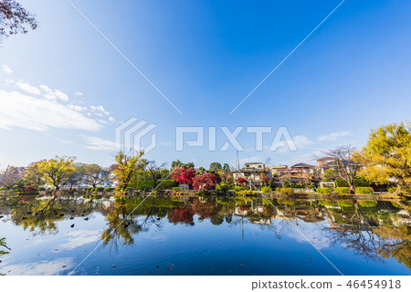 Ishigami Park in the fall 46454918