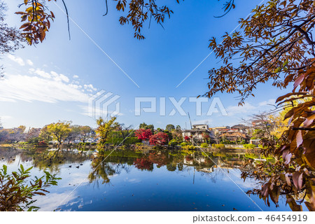 Ishigami公園在秋天 46454919