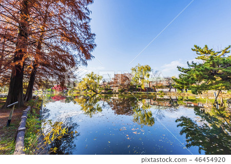 Ishigami Park in the fall 46454920