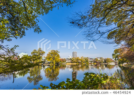 Ishigami公園在秋天 46454924