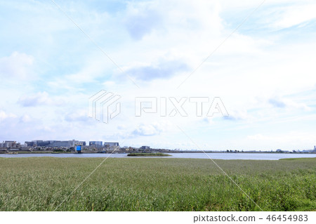 Tama River 46454983