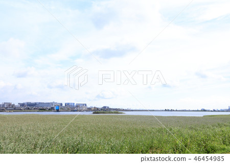 多摩川 46454985