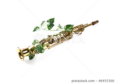 Soprano saxophone image Soprano saxophone image 46455300