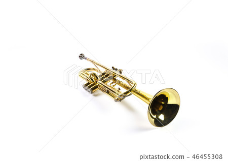 小號圖像 小號圖像 46455308