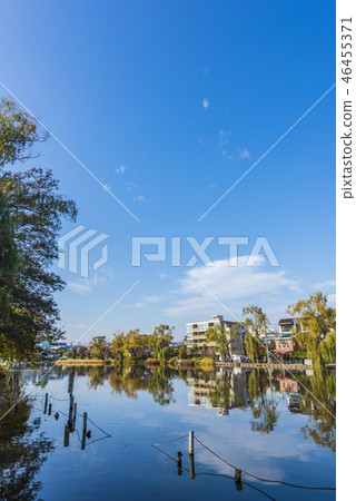 Ishigami Park in the fall Ishigami Park in the fall 46455371