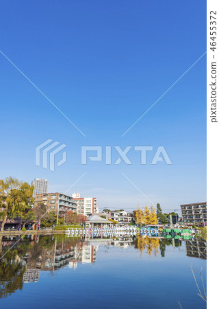 Ishigami Park in the fall 46455372