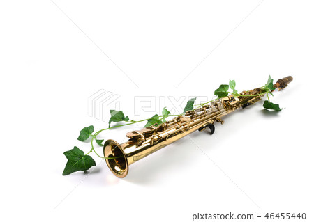 Soprano saxophone image 46455440