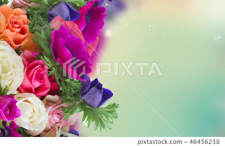 Anemones on white Anemones on white 46456238