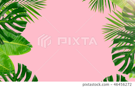 Tropical green leaves Tropical green leaves 46456272