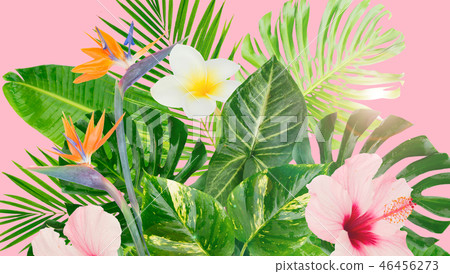 Tropical green leaves Tropical green leaves 46456273