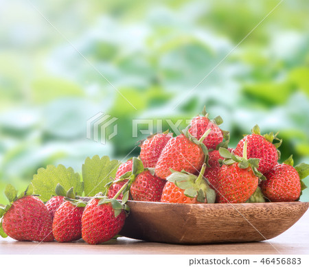 Grass melon water fruit winter heaven winter tree head background strawberry strawberry strawberries 46456883