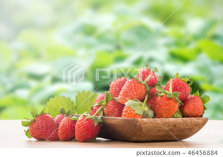 Grass melon water fruit winter heaven winter tree head background strawberry strawberry strawberries 46456884