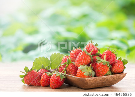 Grass melon water fruit winter heaven winter tree head background strawberry strawberry strawberries Grass melon water fruit winter heaven winter tree head background strawberry strawberry strawberries 46456886