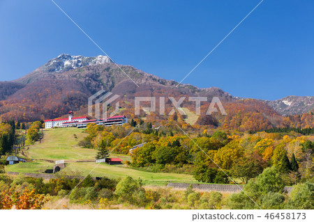 Autumn leaves of Myoko and Akakura Kanko Hotel 46458173