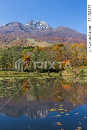 Niigata，Myoko高原，Imori池塘秋葉 46458175