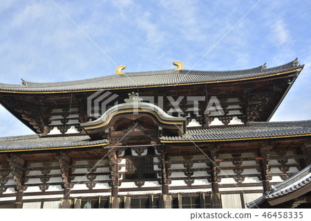 [奈良縣]世界遺產東大寺（大佛堂） 46458335