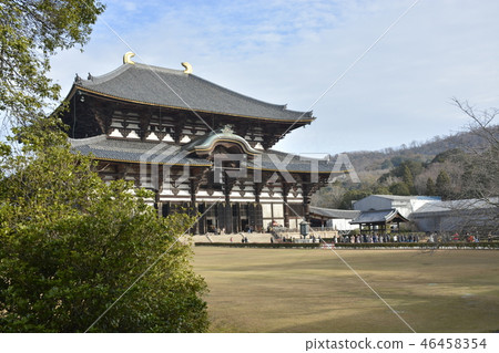 [奈良縣]世界遺產東大寺（大佛堂） 46458354