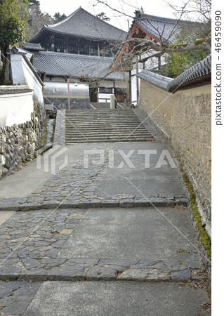 [Nara Prefecture] World heritage, Todaiji Temple (Nisendo back approach) 46459090
