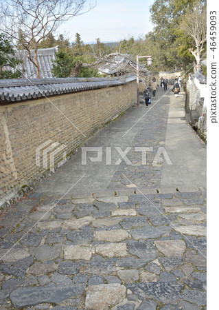 [Nara Prefecture] World heritage, Todaiji Temple (Nisendo back approach) 46459093