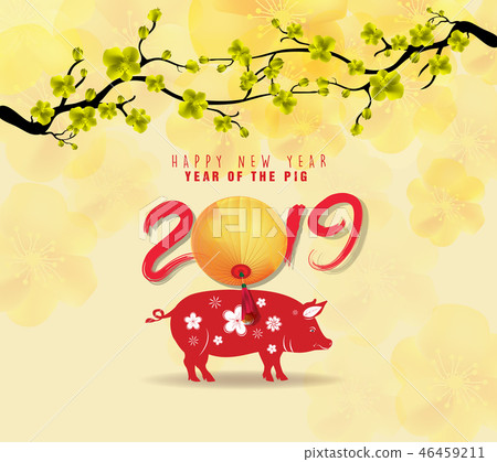 Happy New Year 2019 with fireworks background. Happy New Year 2019 with fireworks background. 46459211