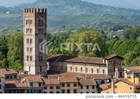 Basilica of San Frediano in Lucca Italy Basilica of San Frediano in Lucca Italy 46459755